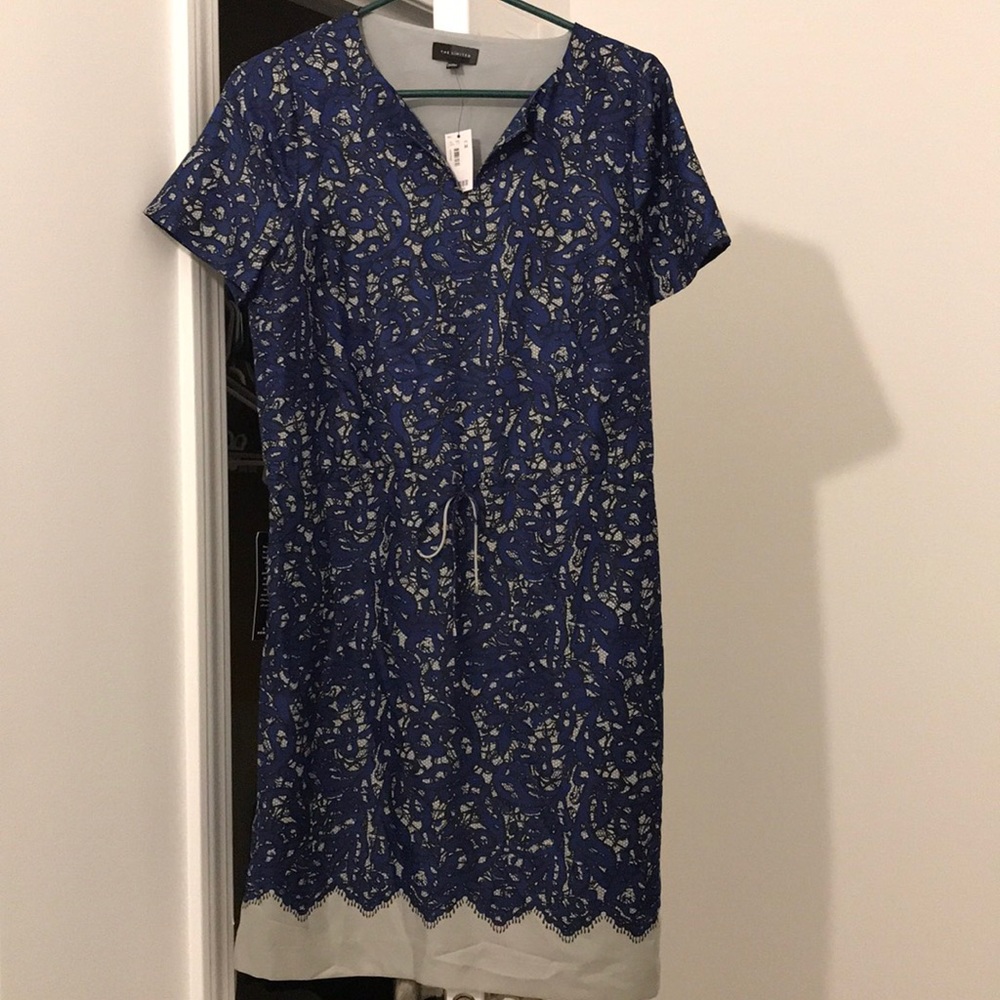 The Limited dress NWT